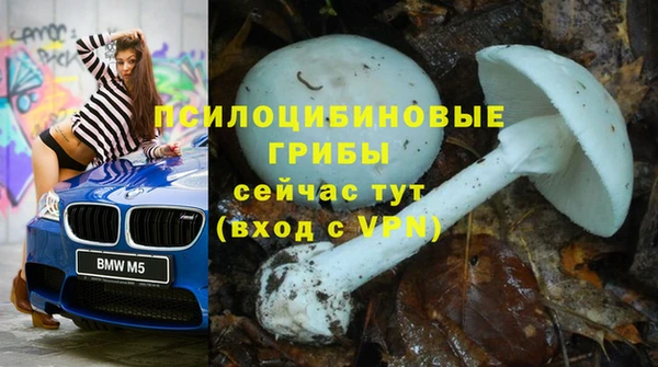 спайс Дмитров