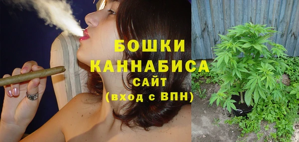 стафф Елизово