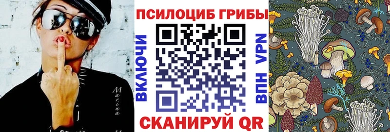 Псилоцибиновые грибы мицелий  Купить где  Каменногорск 